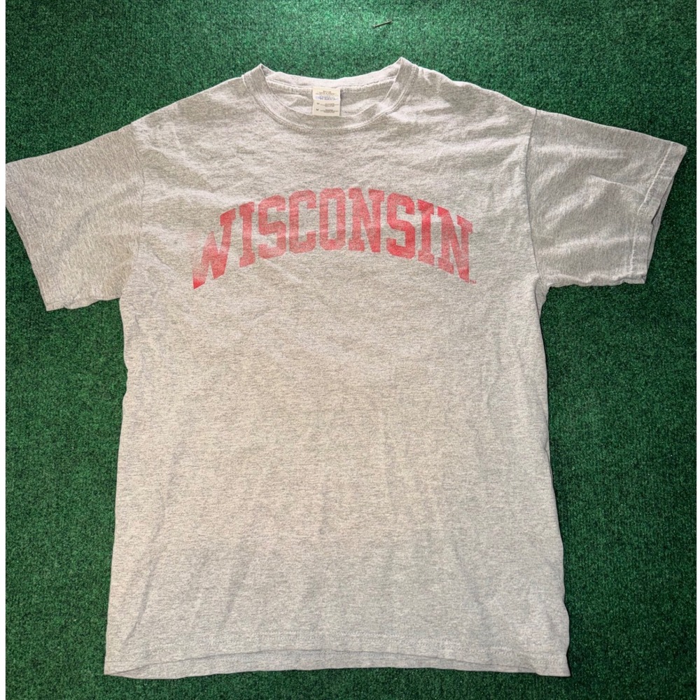 Wisconsin Badgers Graphic T-Shirt Mens Medium Gray Red Arched Spellout Tee